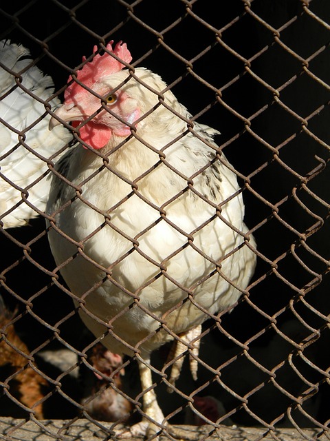 响了警钟 响了警钟