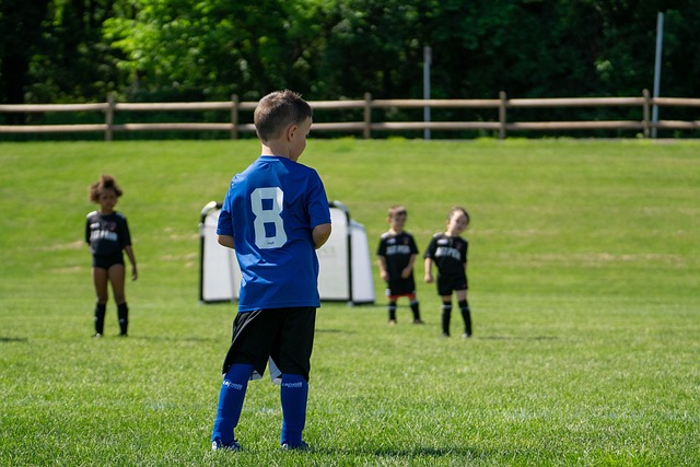 国米还需要 国米还需要