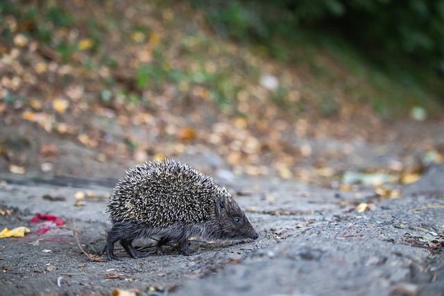 以全球知名 以全球知名