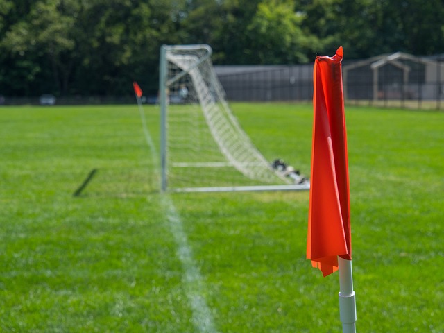 是稳步提升 是稳步提升