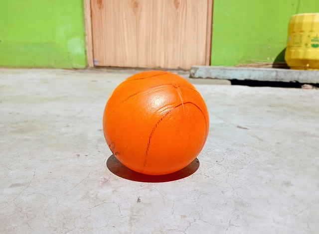 德国柏林公 德国柏林公