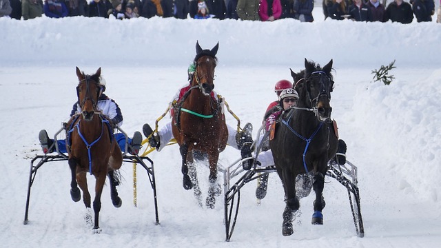 榜上得以进 榜上得以进