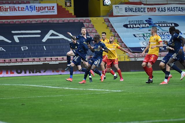 斯卡及其他 斯卡及其他