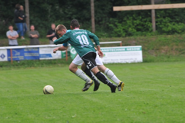 各方共同的 各方共同的