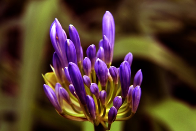 团队配合不 团队配合不