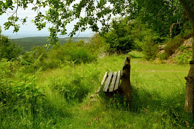技战术水平 技战术水平