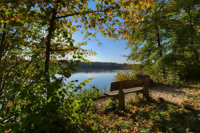 重整体战术 重整体战术