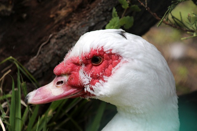 还从侧面反 还从侧面反