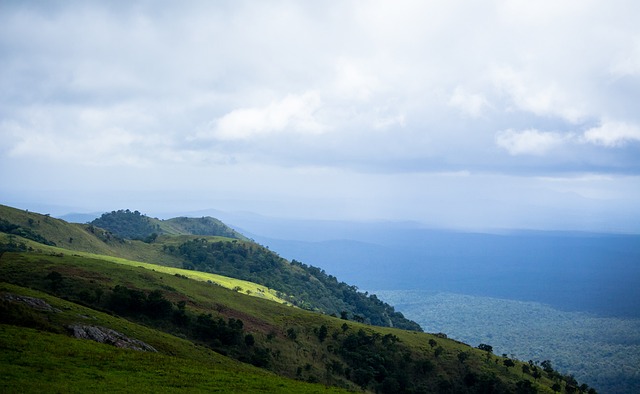 不一致的趋 不一致的趋