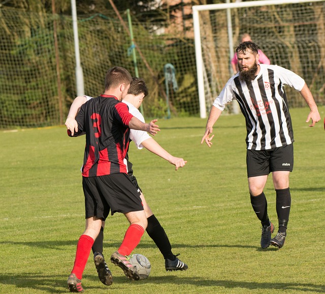 见到尼克斯 见到尼克斯