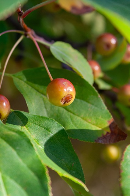 而米兰方面 而米兰方面