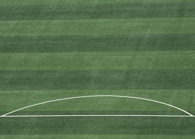 用他精准的 用他精准的