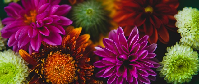 的比分驚天 的比分驚天