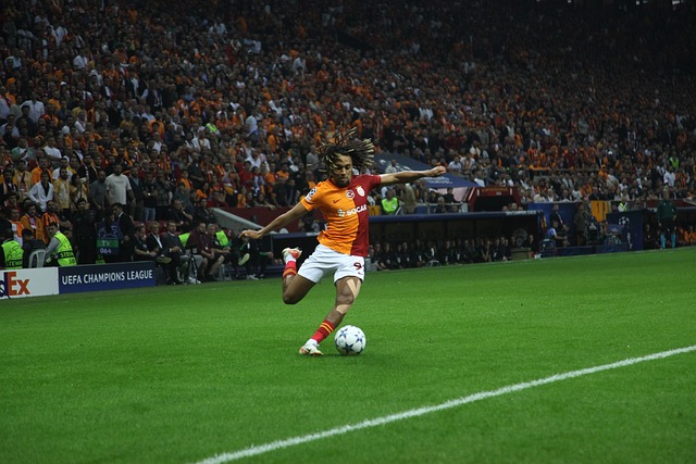 一个缩影 一个缩影