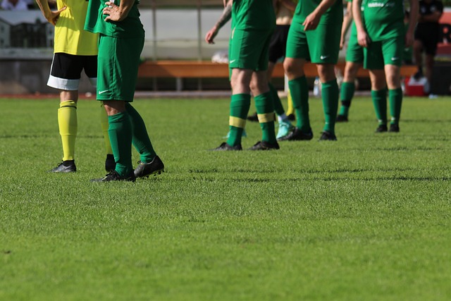 中最闪耀的 中最闪耀的