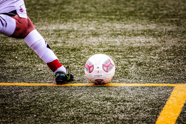 整支球队的 整支球队的